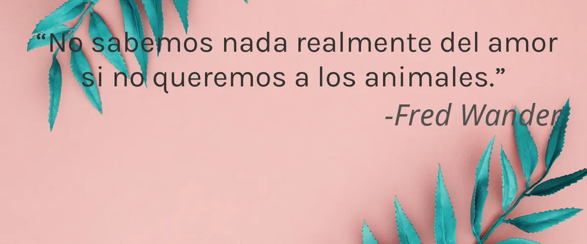 Lips N Tips Cosmetics 4 Cruelty Free Lips N Tips Cosmetics cita-Fred Wander