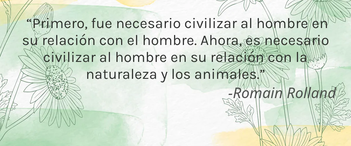 Little Twig 4 Cruelty Free Little Twig cita-Romain Rolland