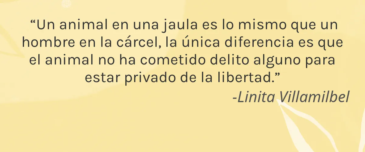 Live By Being 4 Cruelty Free Live By Being cita-Linita Villamilbel