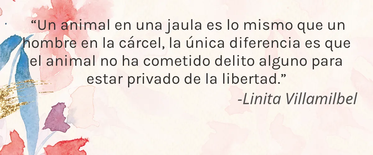 Lix Organix 4 Cruelty Free Lix Organix cita-Linita Villamilbel