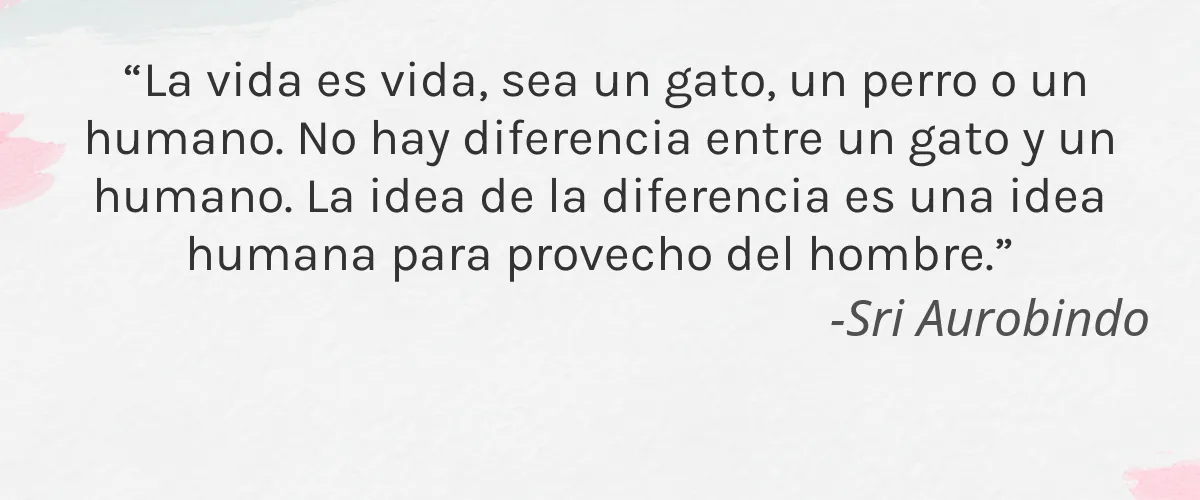 Cruelty Free LOccitane cita-Sri Aurobindo