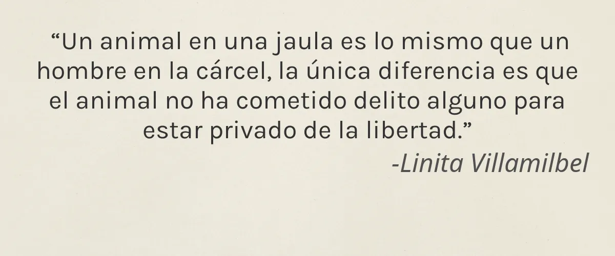 Londontown 4 Cruelty Free Londontown cita-Linita Villamilbel