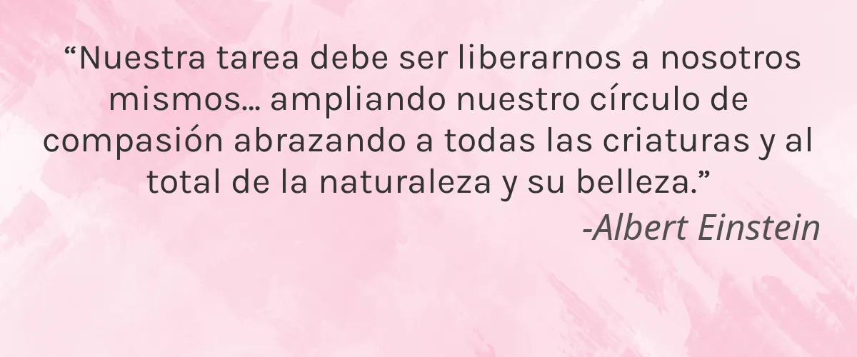 LOUM BEAUTY OF CALM 4 Cruelty Free LOUM BEAUTY OF CALM cita-Albert Einstein