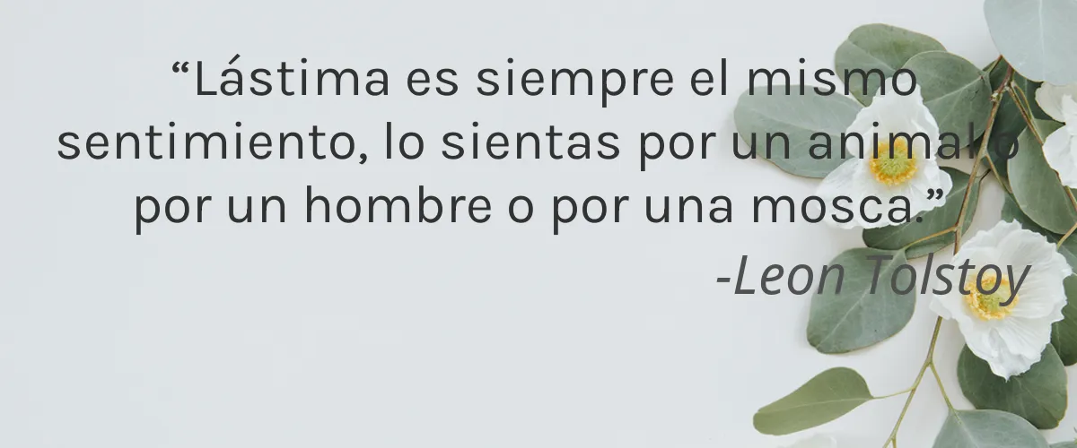 LOVE HENRI 4 Cruelty Free LOVE HENRI cita-Leon Tolstoy