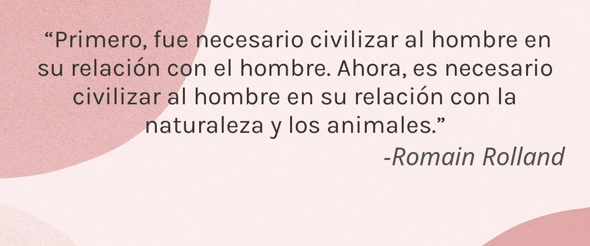 Love is… pet vibrational healing 5 Cruelty Free Love is pet vibrational healing cita-Romain Rolland