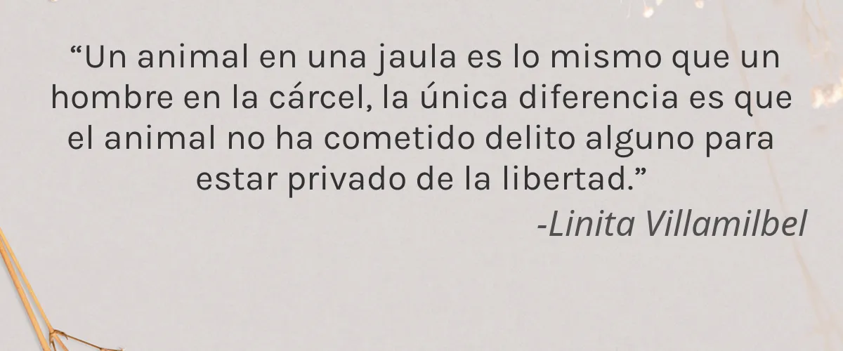 Loving Culture 4 Cruelty Free Loving Culture cita-Linita Villamilbel