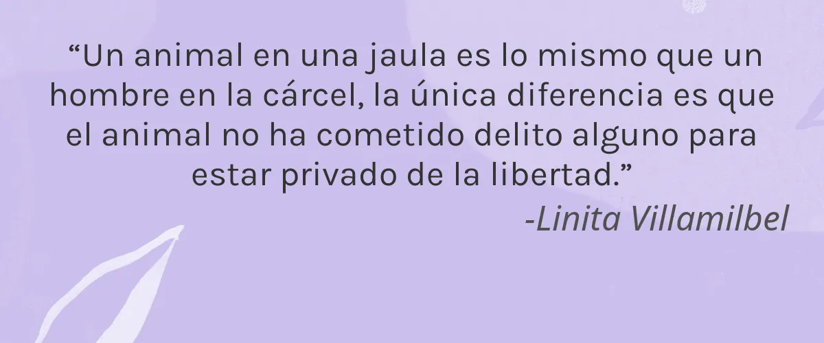 Luana Organics 4 Cruelty Free Luana Organics cita-Linita Villamilbel