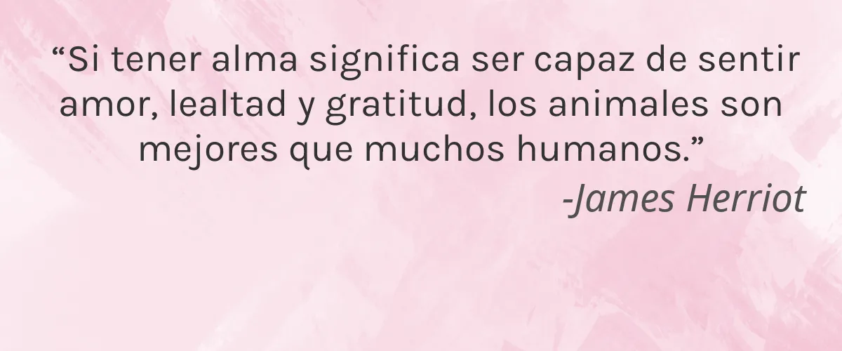 Lueur Naturelle 4 Cruelty Free Lueur Naturelle cita-James Herriot