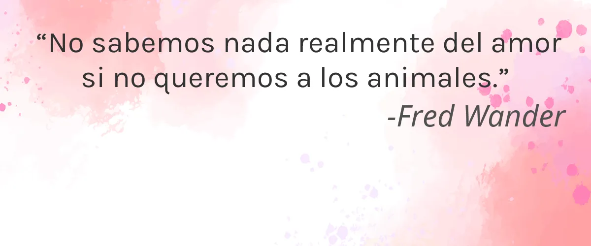 Luminess Air 4 Cruelty Free Luminess Air cita-Fred Wander