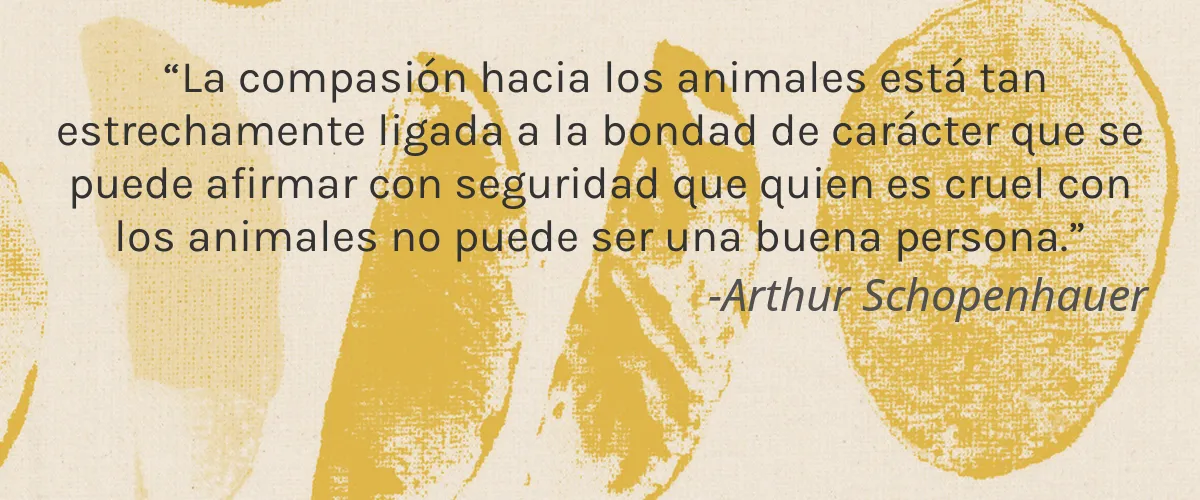 Lunalis Cosmetics 5 Cruelty Free Lunalis Cosmetics cita-Arthur Schopenhauer