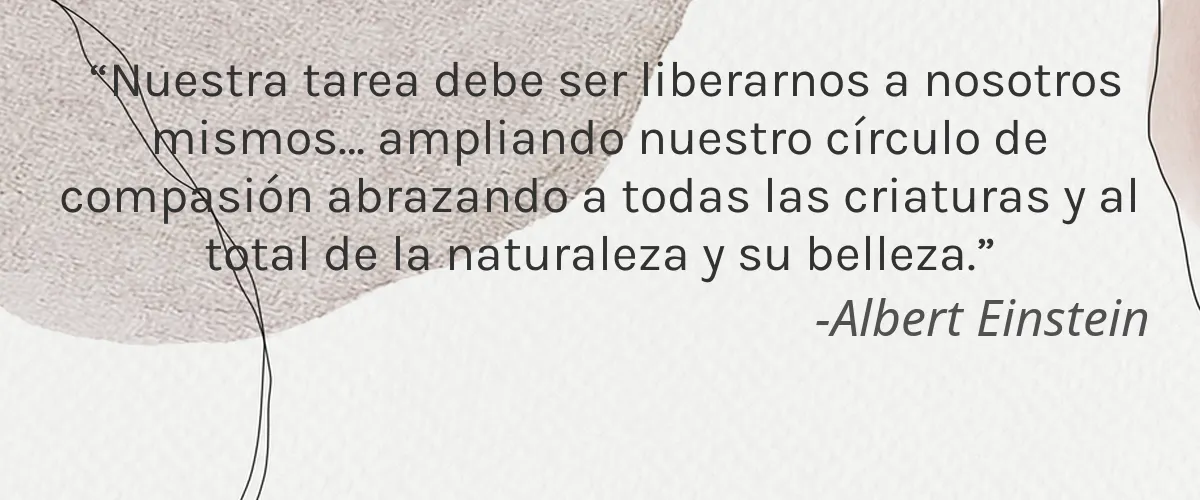 Luscious Cosmetics 4 Cruelty Free Luscious Cosmetics cita-Albert Einstein