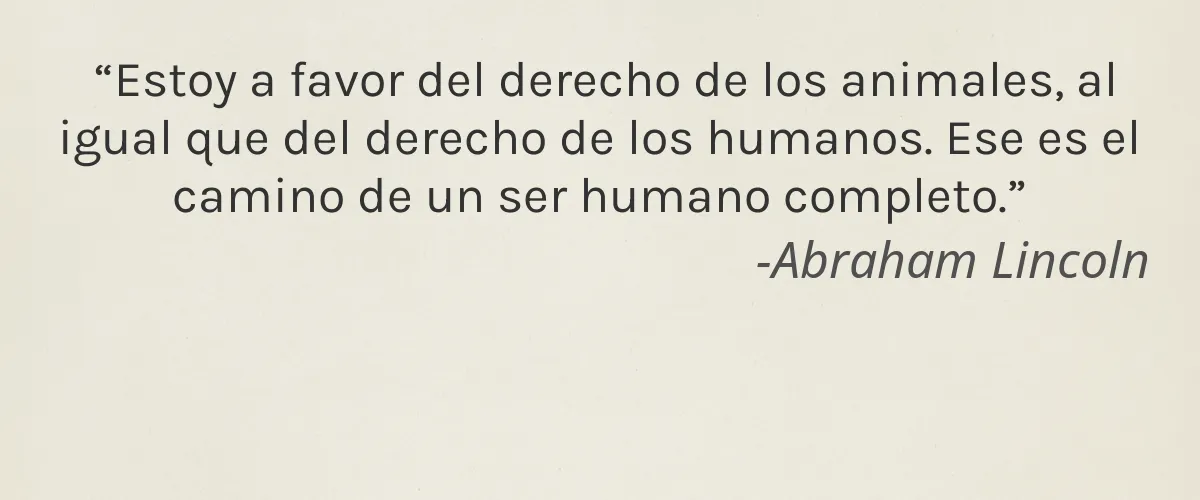 LUXEMBODY 4 Cruelty Free LUXEMBODY cita-Abraham Lincoln