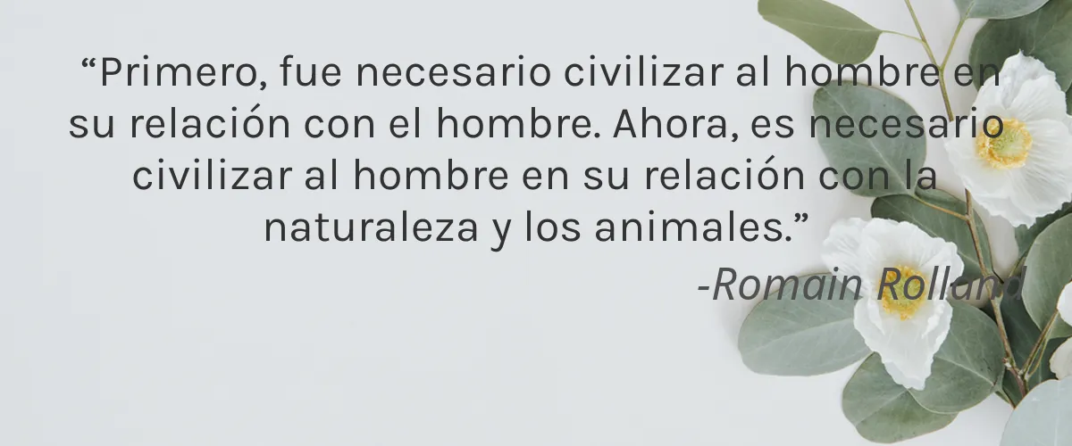 MACK 4 Cruelty Free MACK cita-Romain Rolland