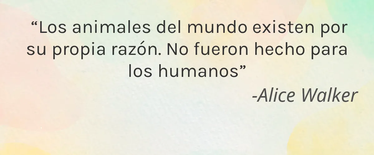MaCosmetoPerso 4 Cruelty Free MaCosmetoPerso cita-Alice Walker