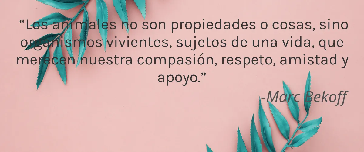 Madison Reed 4 Cruelty Free Madison Reed cita-Marc Bekoff