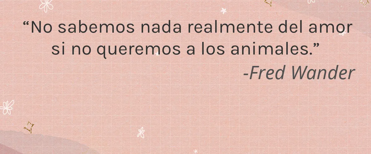 Maëlys Cosmetics 4 Cruelty Free Maelys Cosmetics cita-Fred Wander