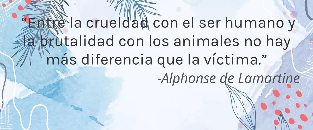 Magic Makeup 4 Cruelty Free Magic Makeup cita-Alphonse de Lamartine