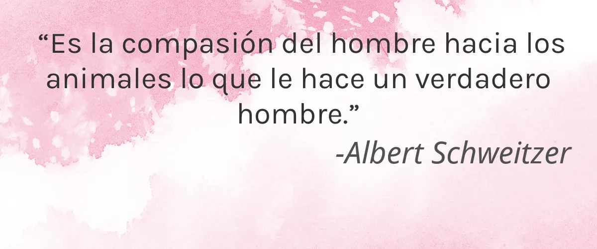 Cruelty Free Makai Cares cita-Albert Schweitzer