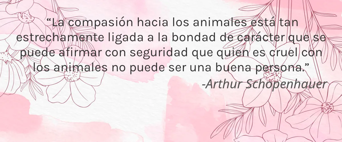 Cruelty Free Mama Knows Best cita-Arthur Schopenhauer