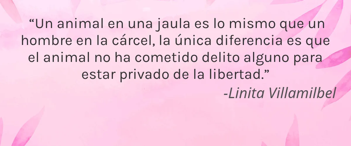 Mark&Teams 4 Cruelty Free Mark&Teams cita-Linita Villamilbel