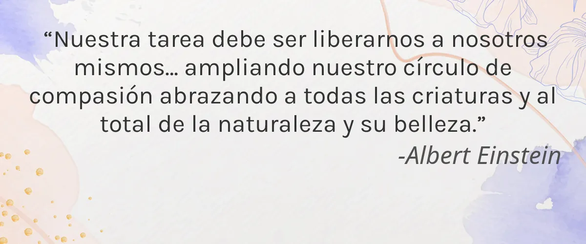 Cruelty Free Marvo & Co cita-Albert Einstein