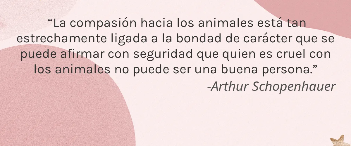 MARY ALLAN SKIN CARE 4 Cruelty Free MARY ALLAN SKIN CARE cita-Arthur Schopenhauer