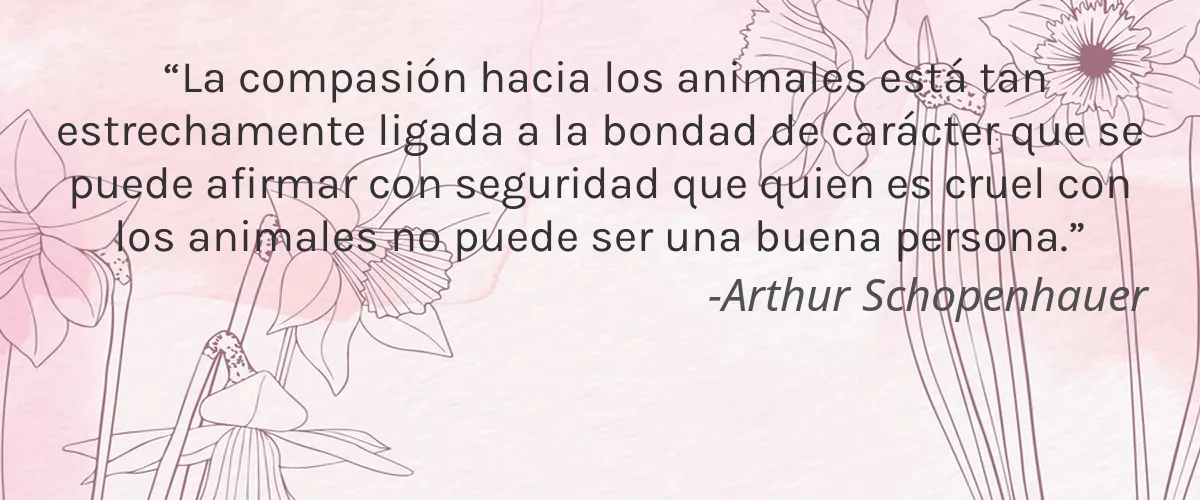 MATARRANIA 4 Cruelty Free MATARRANIA cita-Arthur Schopenhauer