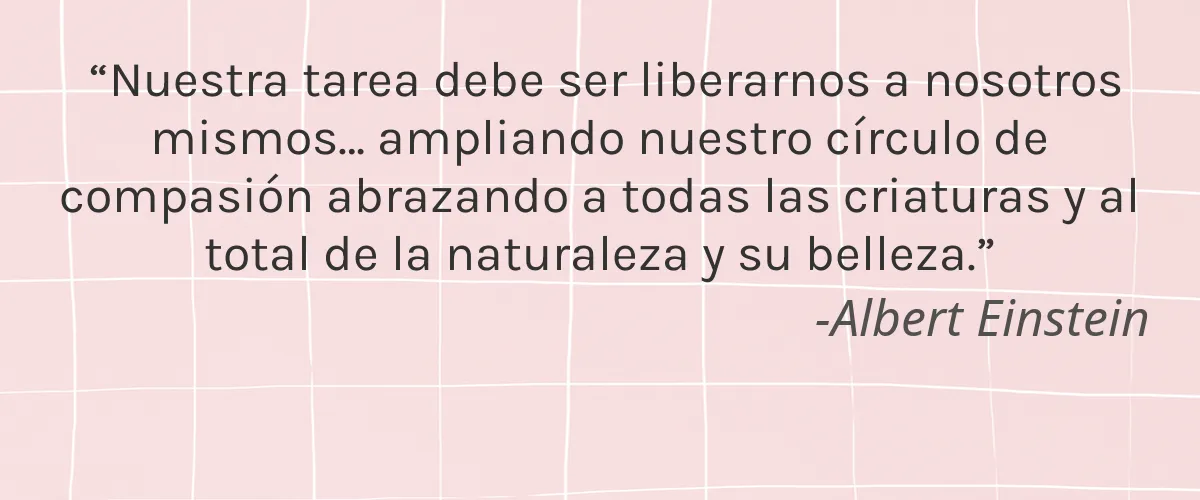 Cruelty Free MATER cita-Albert Einstein