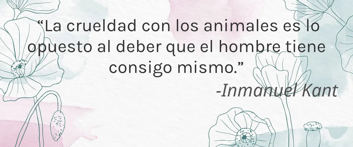 Matter Facial 4 Cruelty Free Matter Facial cita-Inmanuel Kant