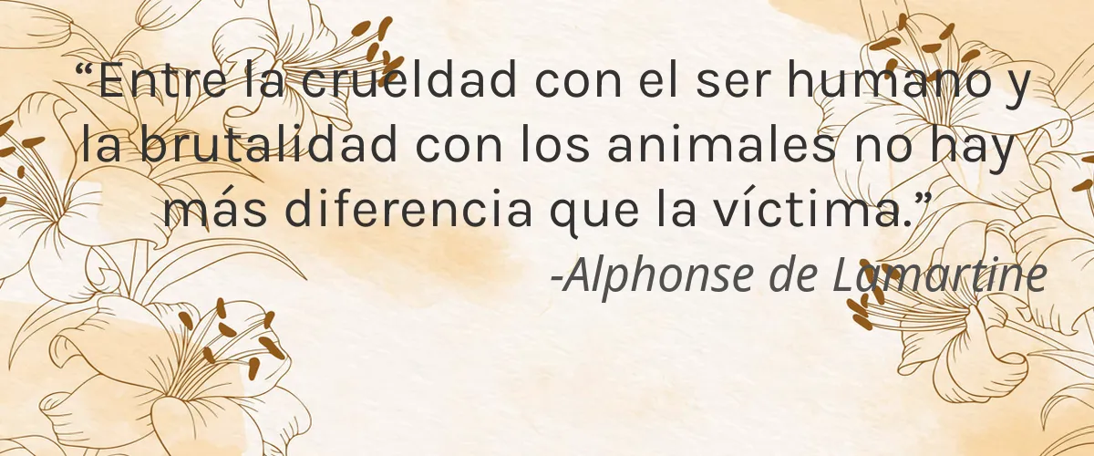 Cruelty Free MAXXAM cita-Alphonse de Lamartine