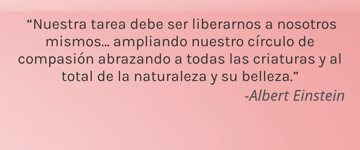 Medeau 4 Cruelty Free Medeau cita-Albert Einstein