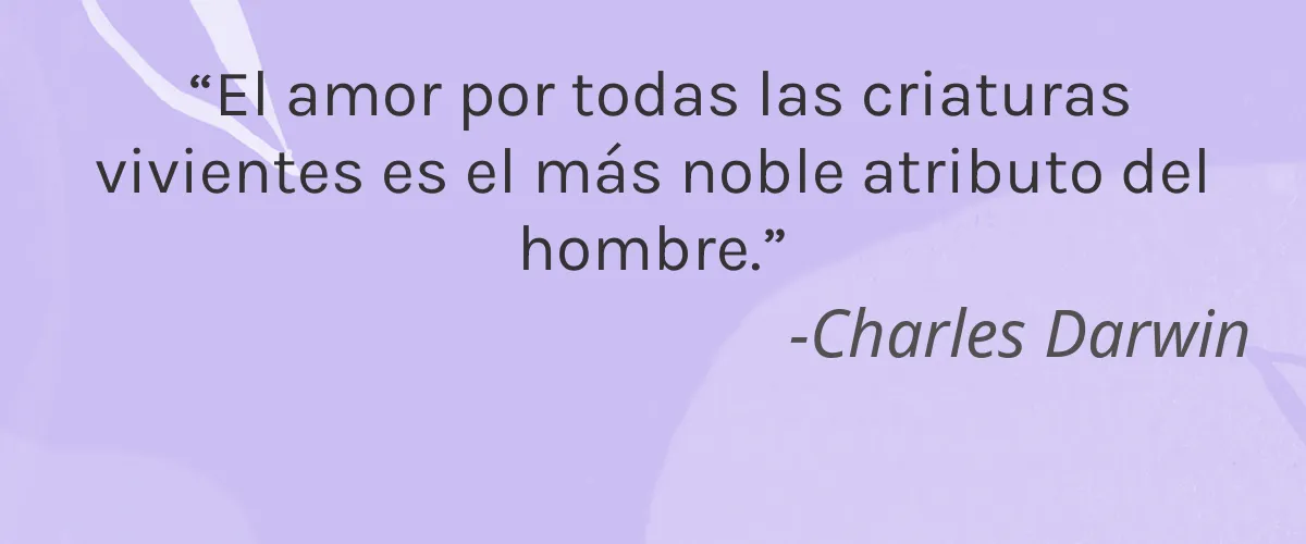 Merde No2 4 Cruelty Free Merde No2 cita-Charles Darwin