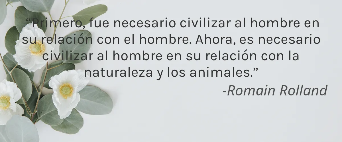 Mezzo Dermocosméticos 4 Cruelty Free Mezzo Dermocosmeticos cita-Romain Rolland