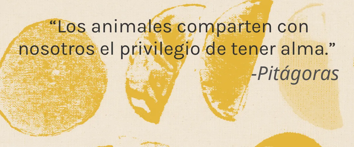 Miller Harris 4 Cruelty Free Miller Harris cita-Pitágoras