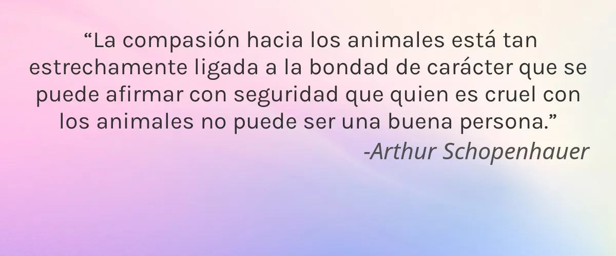 Mineralissima 4 Cruelty Free Mineralissima cita-Arthur Schopenhauer