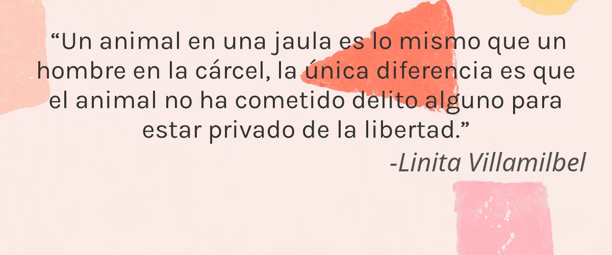 Minoris 4 Cruelty Free Minoris cita-Linita Villamilbel