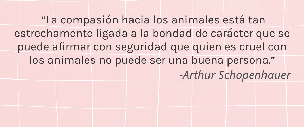 Miribel Naturals 4 Cruelty Free Miribel Naturals cita-Arthur Schopenhauer