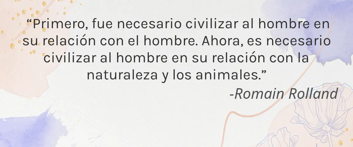 MO Nails 4 Cruelty Free MO Nails cita-Romain Rolland