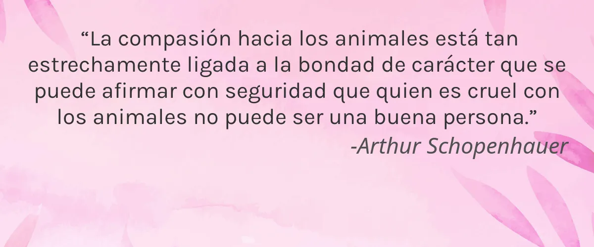 Cruelty Free MOB Beauty cita-Arthur Schopenhauer