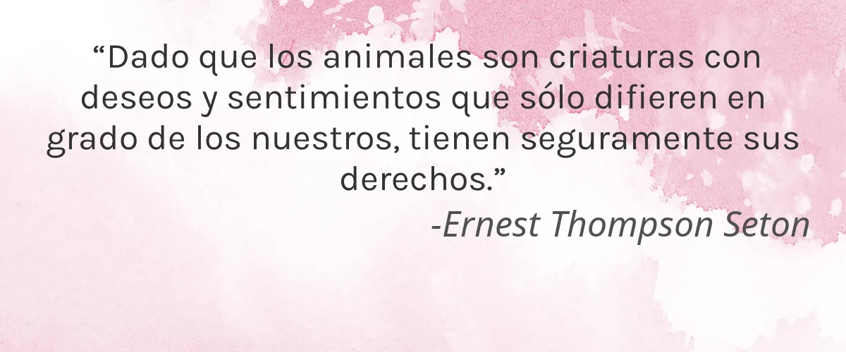 Moist Towel Services 4 Cruelty Free Moist Towel Services cita-Ernest Thompson Seton