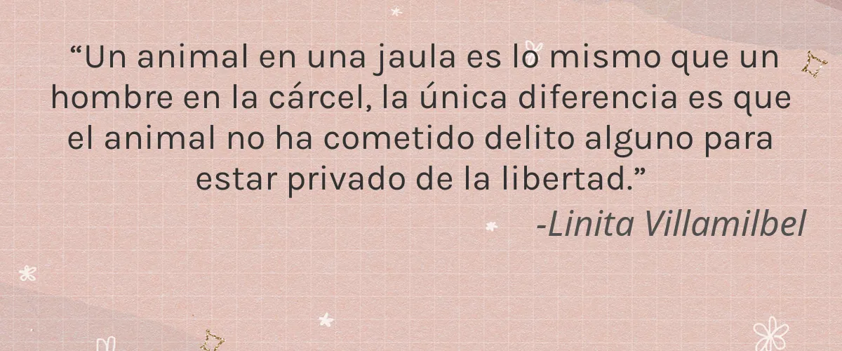 moom 4 Cruelty Free moom cita-Linita Villamilbel
