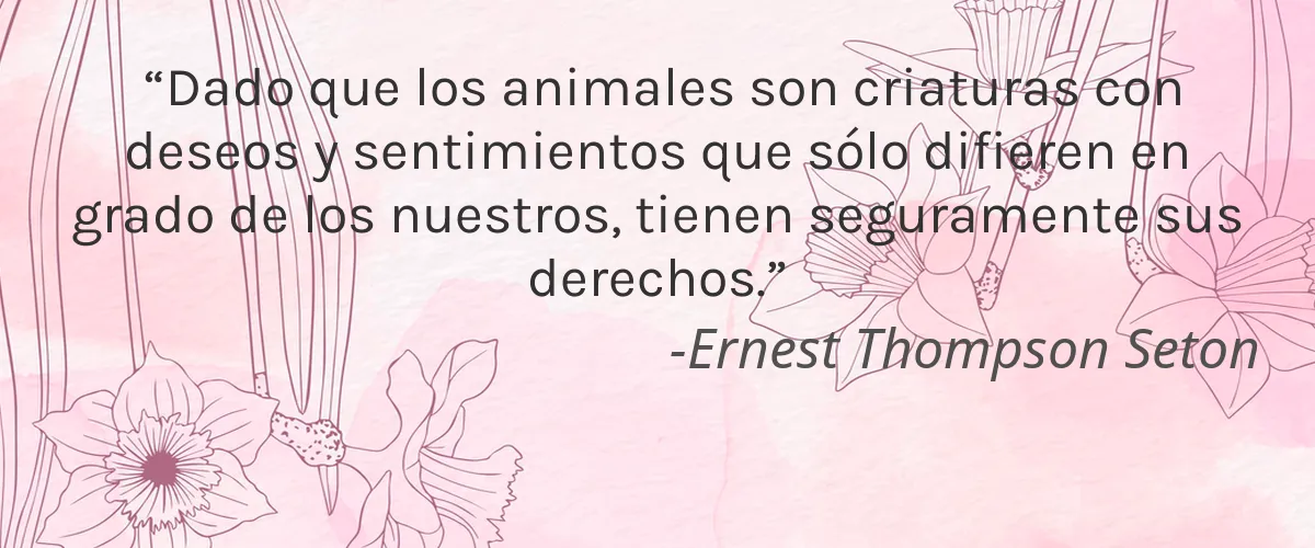 Mrs. Meyer’s (SC Johnson) 8 Cruelty Free Mrs. Meyers (SC Johnson) cita-Ernest Thompson Seton