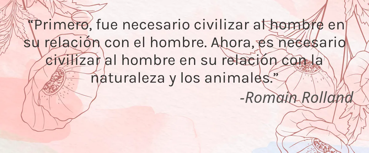Muddy Body 4 Cruelty Free Muddy Body cita-Romain Rolland