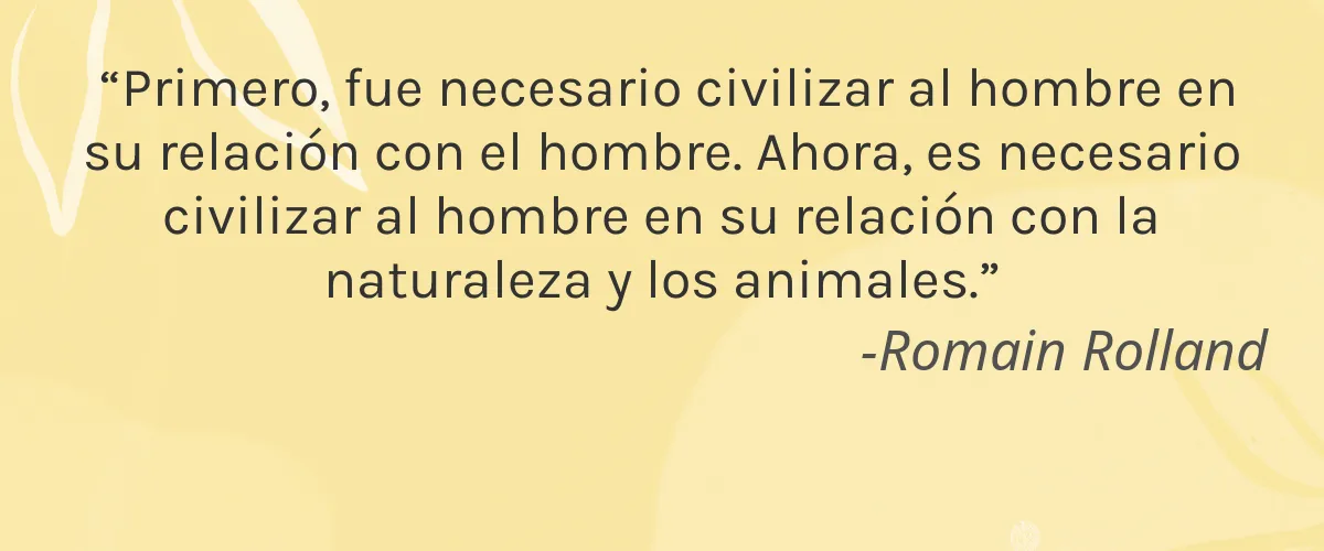 Muylinda Collection 4 Cruelty Free Muylinda Collection cita-Romain Rolland