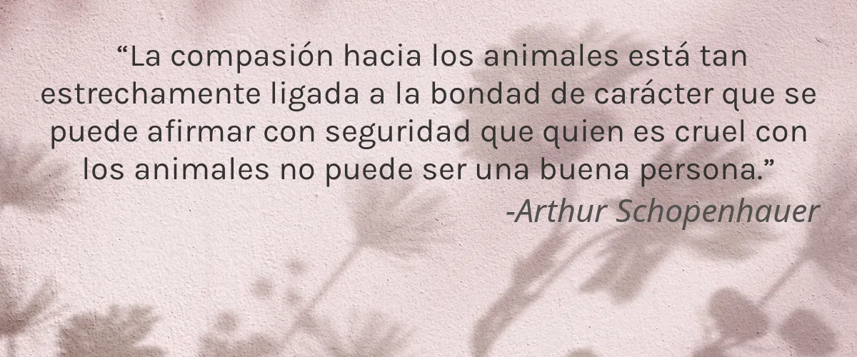 Cruelty Free myRapunzel cita-Arthur Schopenhauer