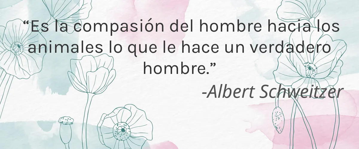 Nadina’s Cremes 4 Cruelty Free Nadinas Cremes cita-Albert Schweitzer