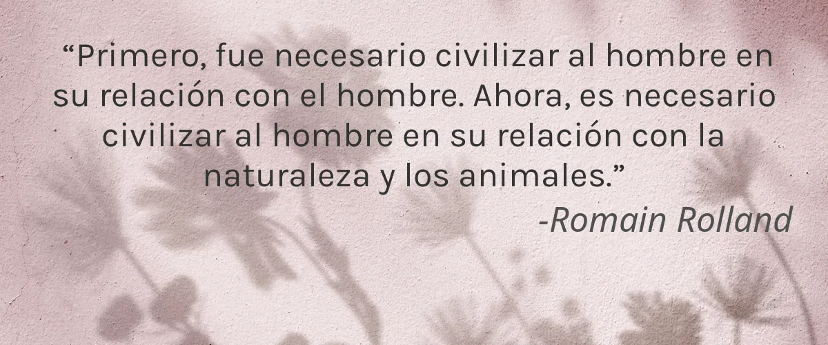 Nad’s 4 Cruelty Free Nads cita-Romain Rolland