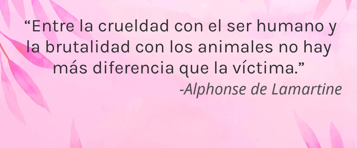 Nail-Aid 4 Cruelty Free Nail-Aid cita-Alphonse de Lamartine