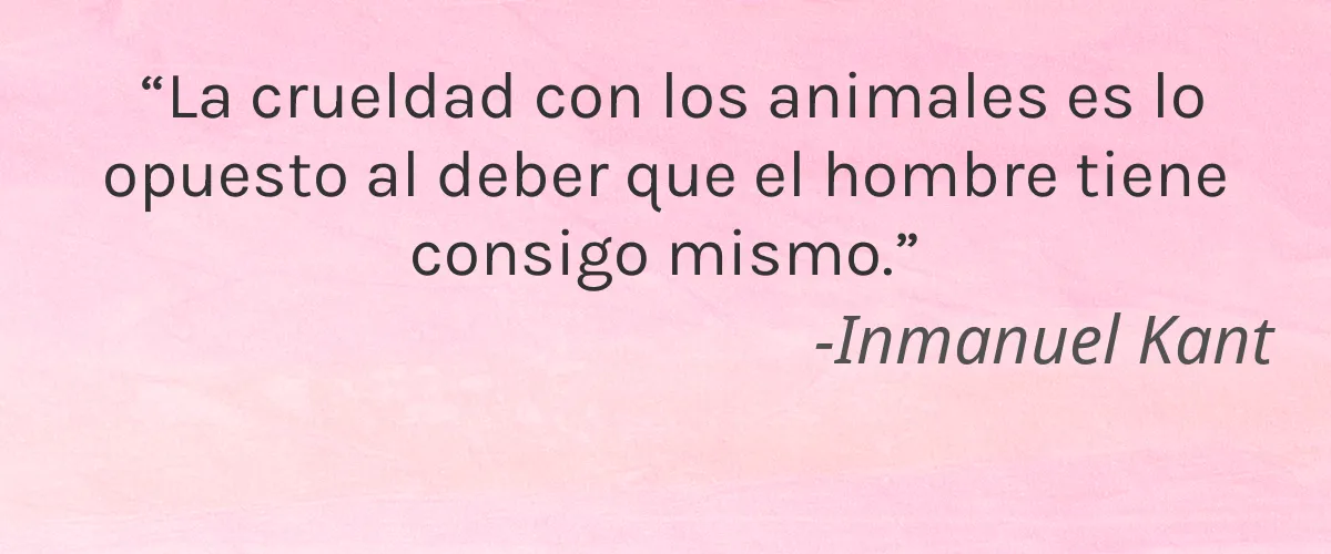NAIL & BONE 4 Cruelty Free NAIL & BONE cita-Inmanuel Kant