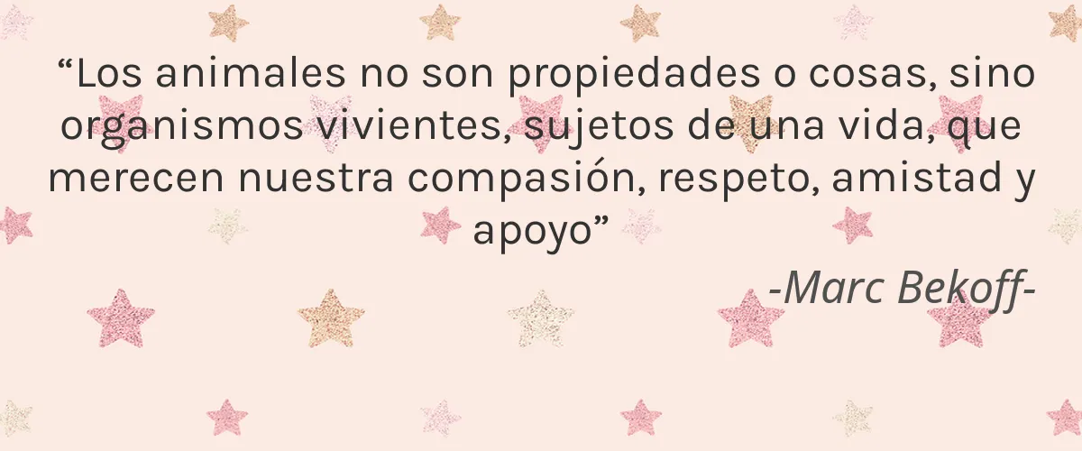 Nailtopia 4 Cruelty Free Nailtopia cita-Marc Bekoff-